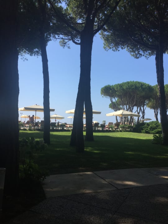 Pool Hotel Bellevue & Resort