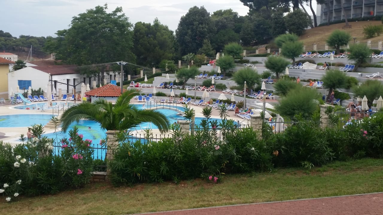 Pool Maistra Select Pineta Hotel