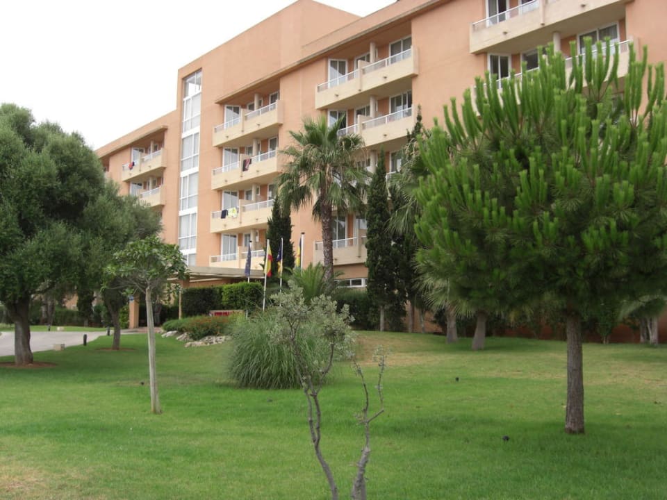 Aussicht  Garbí Cala Millor