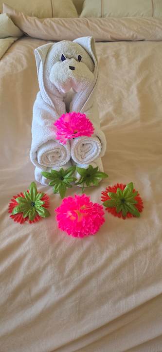 Zimmer Makadi Spa - Adults only