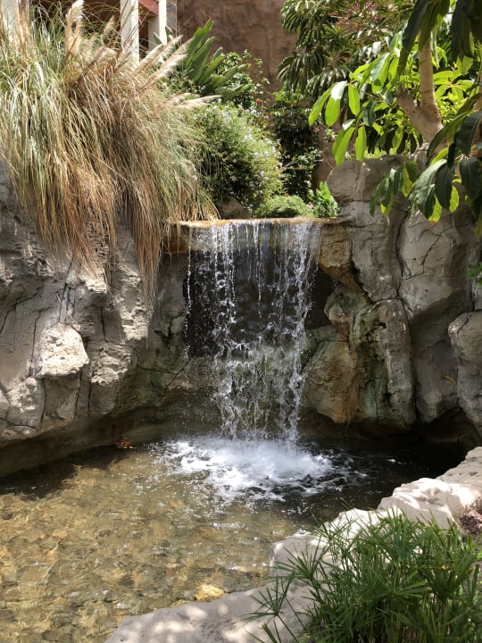 Gartenanlage Hotel Cordial Mogán Playa