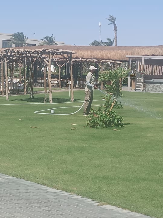 Gartenanlage Steigenberger Resort Ras Soma