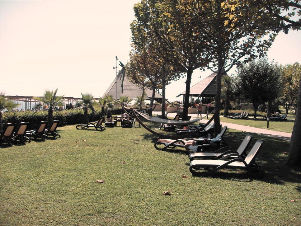 Parkanlage Balmy Foresta