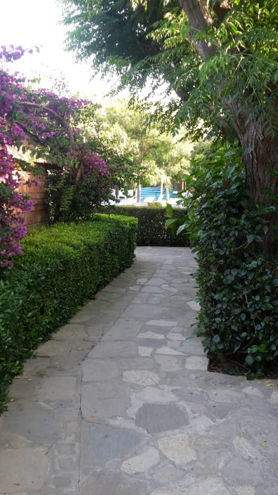 Gartenanlage Can Garden Beach