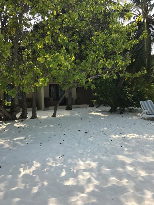 Zimmer Summer Island Maldives