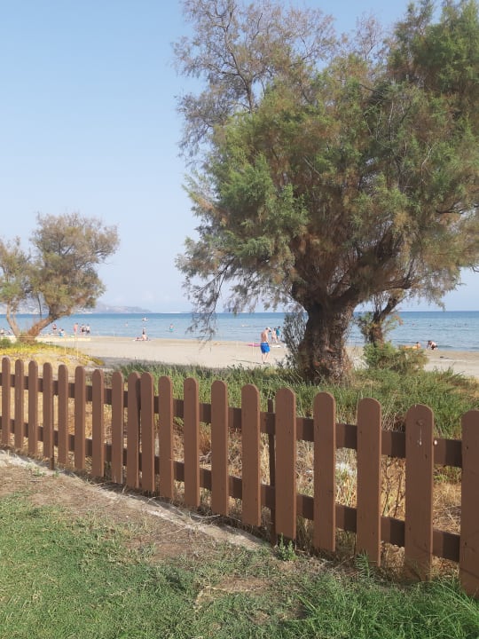 Strand Domes Aulūs Zante, Autograph Collection