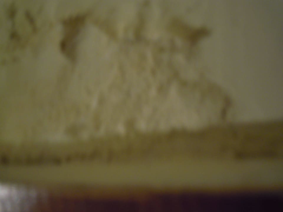 Schimmel Pelz  Fort Arabesque Resort, Spa & Villas