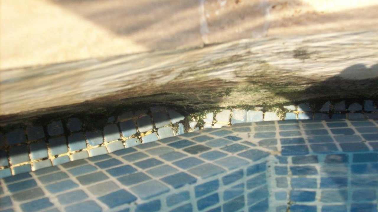 Schimmel-Pool Orient Life Resort Hotel