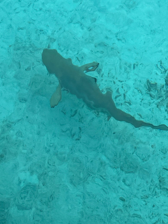 Sonstiges Kuredu Island Resort & Spa