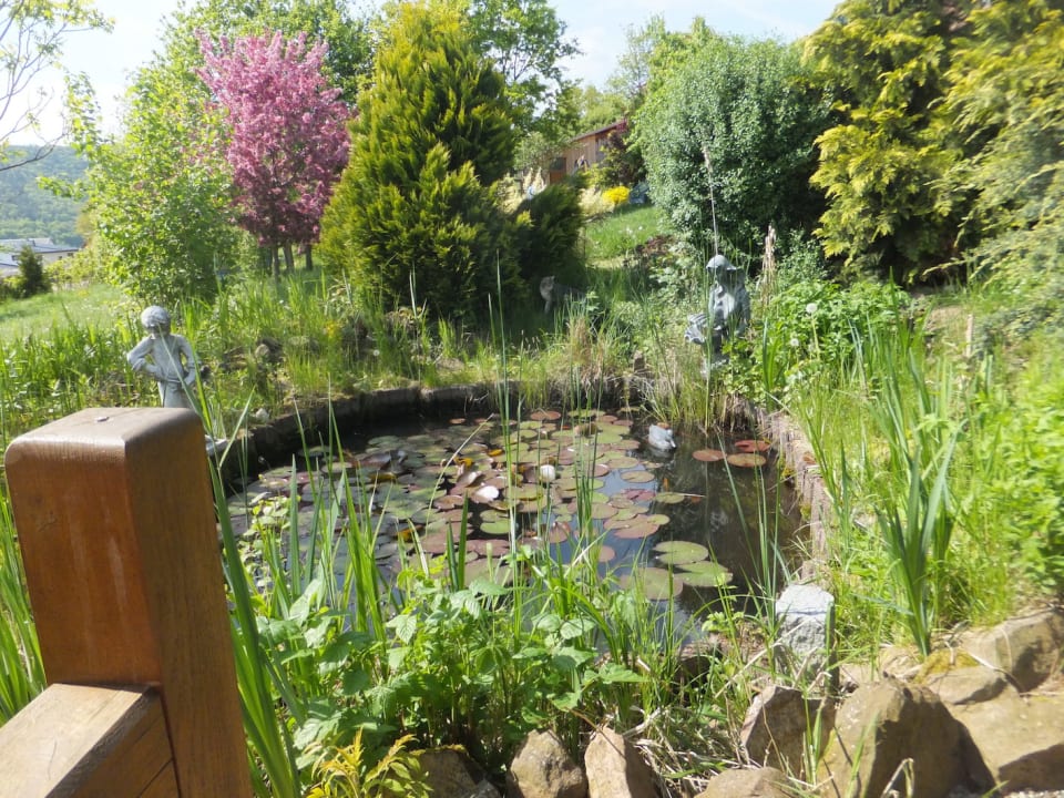 Gartenanlage Pension Höchemer