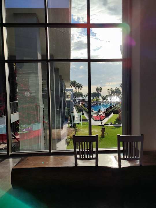 Lobby Acanthus Cennet Barut Collection