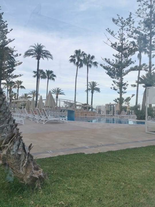 Gartenanlage CM Playa del Moro