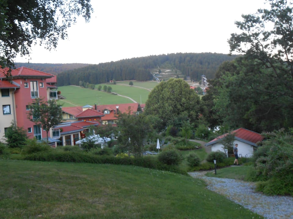 Blickwinkel zur Rodelbahn Hotel Reinerhof