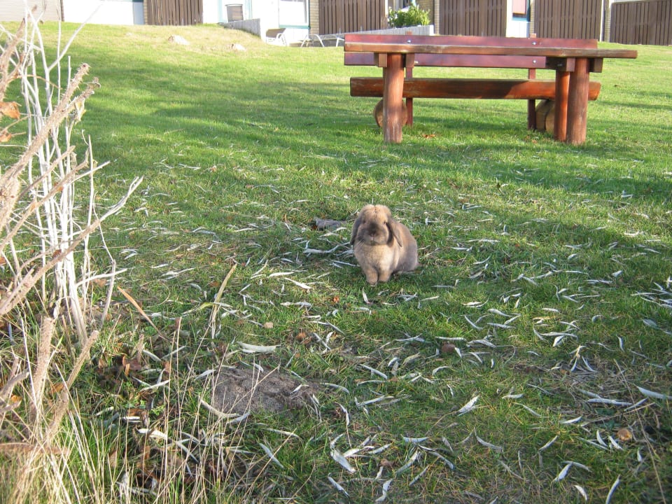 Zum Wohlfühlen Heiligenhafen Ferienpark