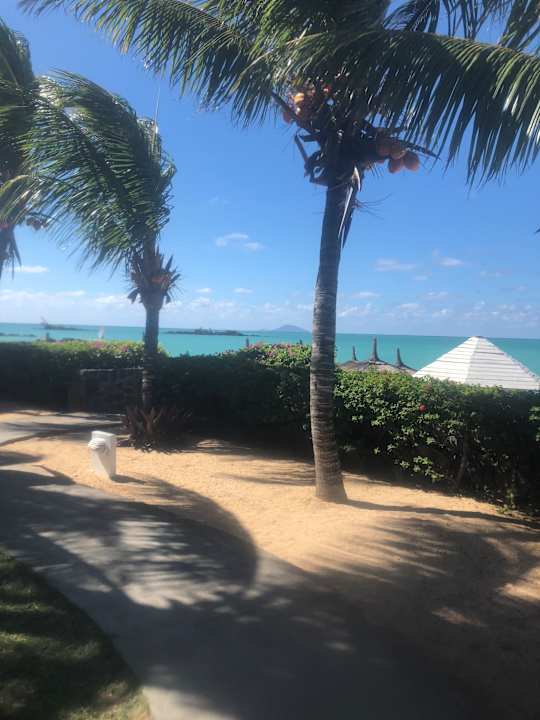 Gartenanlage Lagoon Attitude - Adults only