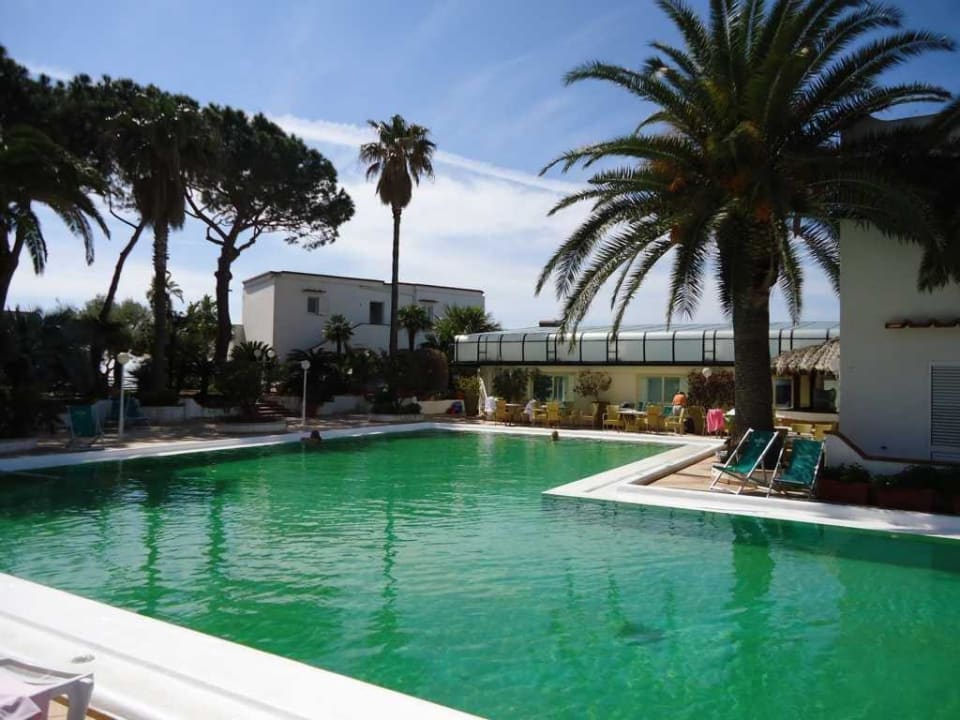 Thermalpool mit Bar Hotel Terme Royal Palm