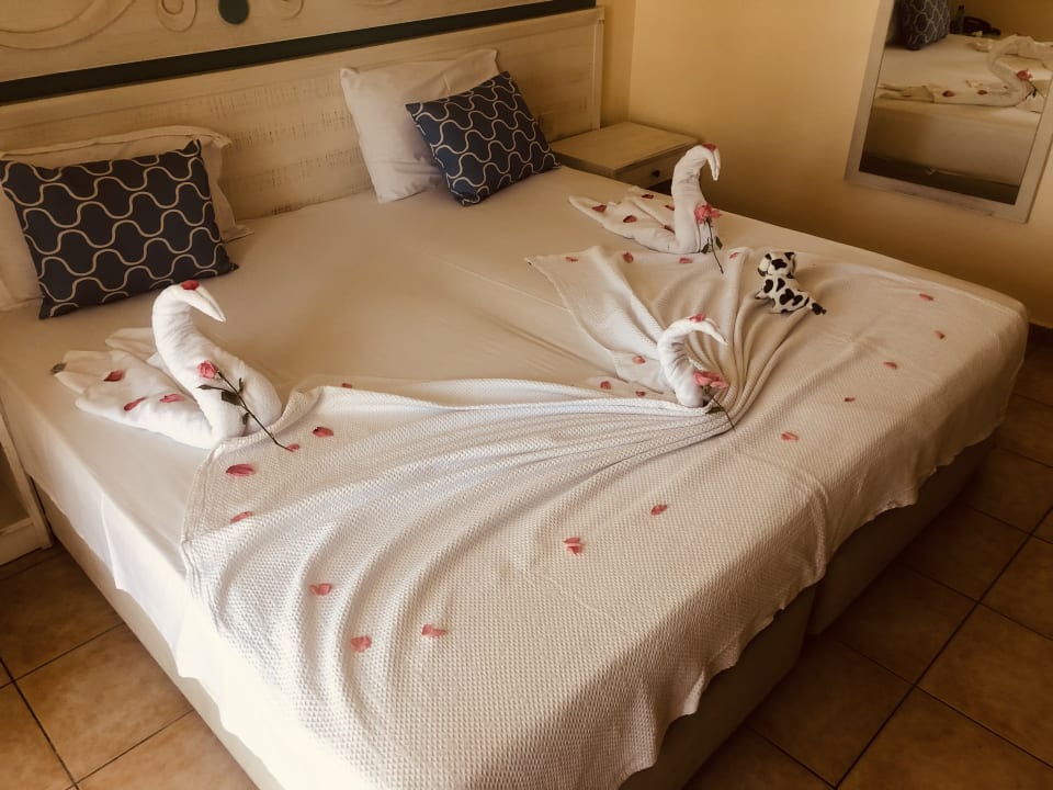 Zimmer Asteria Family Resort Side