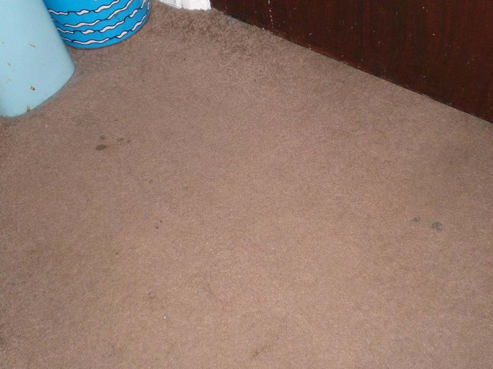 Teppichboden im Zimmer Aquarius Hotel