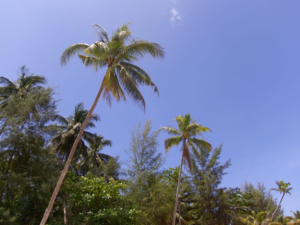 Strand Kantary Beach Hotel - KHAO LAK