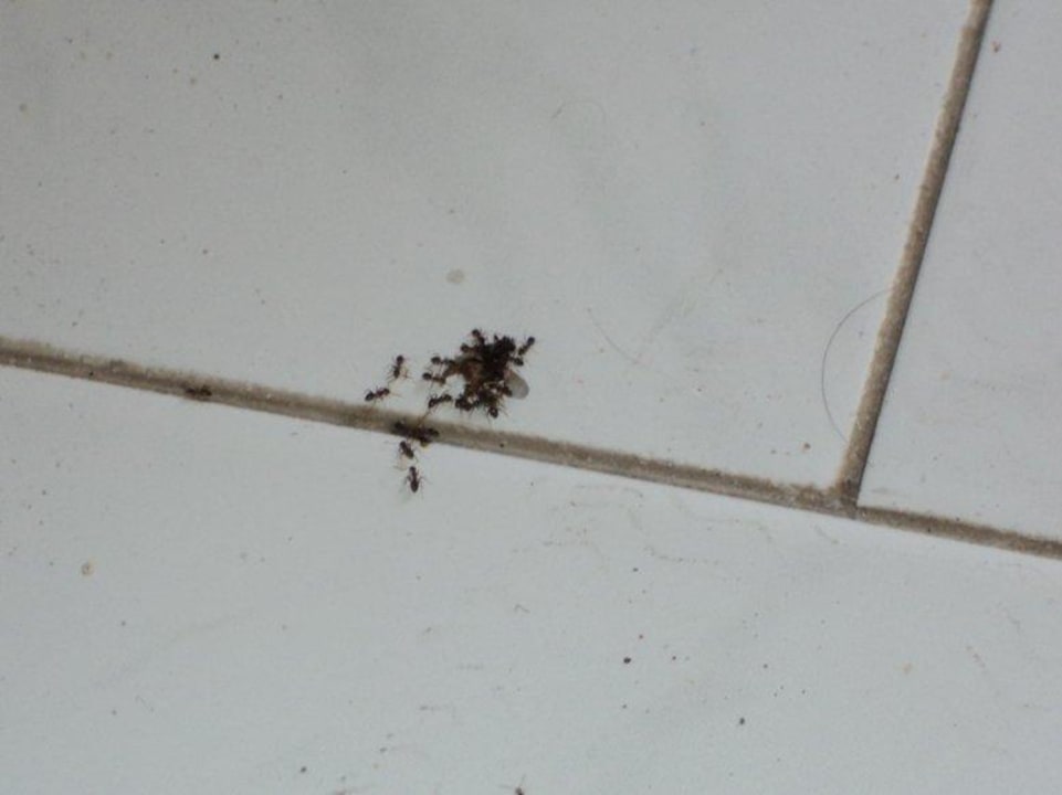 Podłoga Hotel Silver Beach