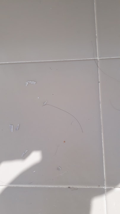 Zimmer Hotel Riu Palace Maspalomas Adults Only