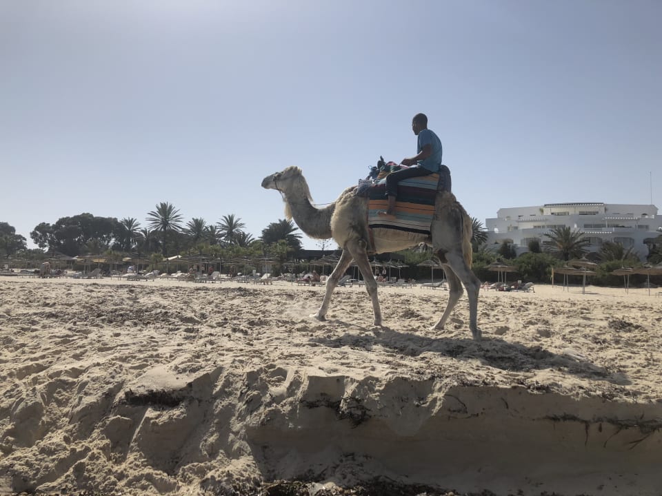 Strand Oceana Hotel & Spa