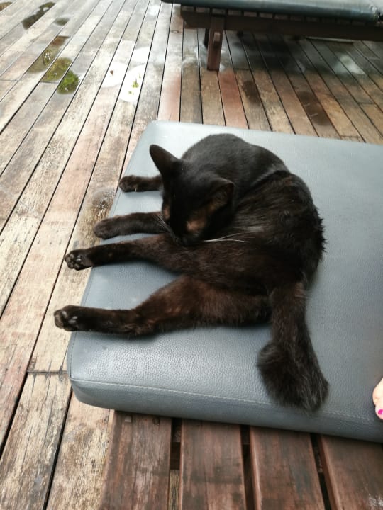 Pool Khaolak Bhandari Resort & Spa