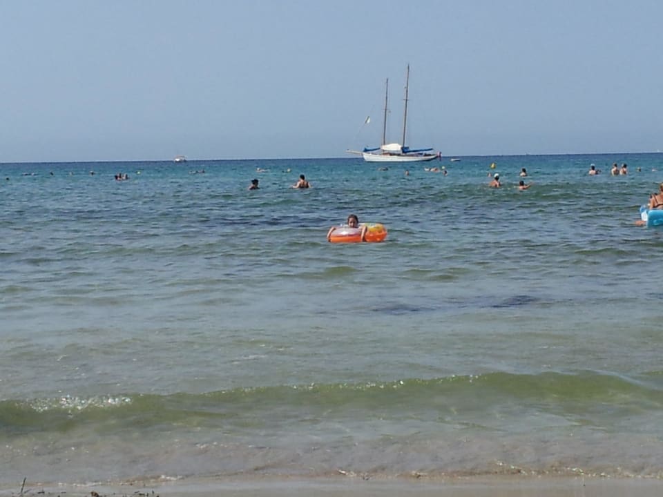 3 schöne Buchten allsun Hotel Bella Paguera