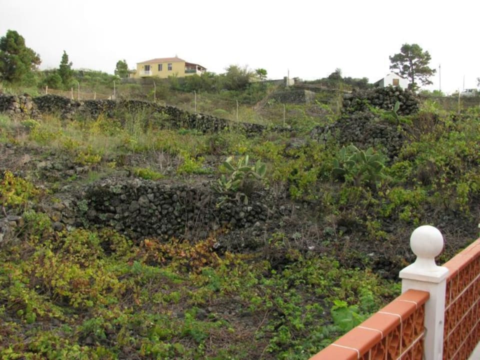 Weingarten Hotel Casa Roja