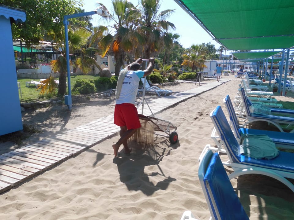 Sonstiges Iz Flower Side Beach Hotel