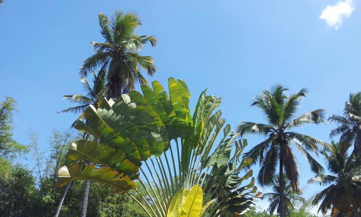 Schöne Garteenanlage Grand Palladium Select Bávaro Resort & Spa