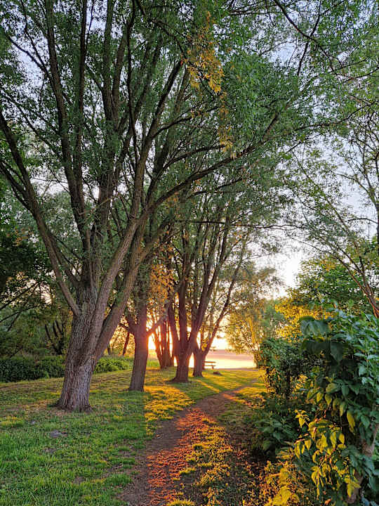 Strand Hotel Fleesensee Resort & Spa