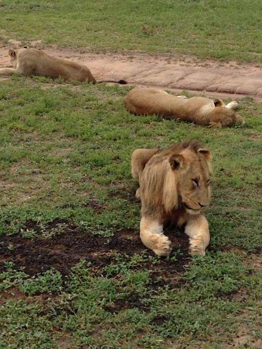 Safari Hotel Arathusa Safari Lodge