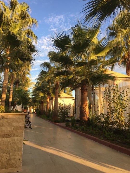 Wunderschöne Gartenanlage Saphir Resort & Spa