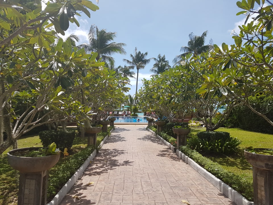 Gartenanlage Coco Palm Beach Resort