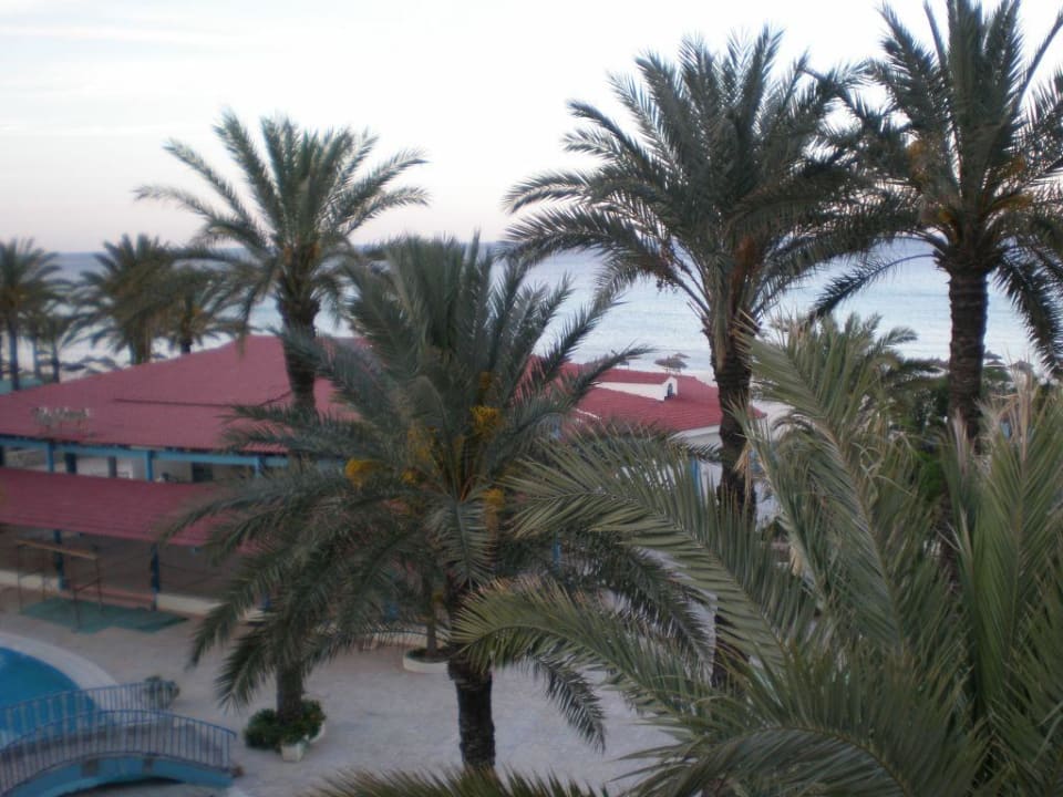 Fast immer schlechtes Wetter leider Riadh Palms Resort & Spa