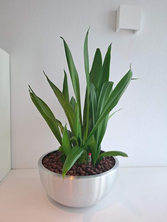 Lobby NH Collection Köln Mediapark