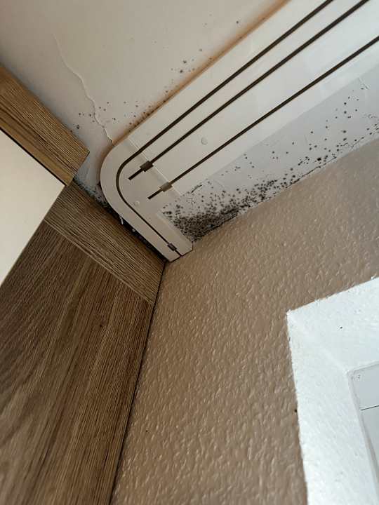 Zimmer Ferienwohnungen Ferienpark Weissenhäuser Strand