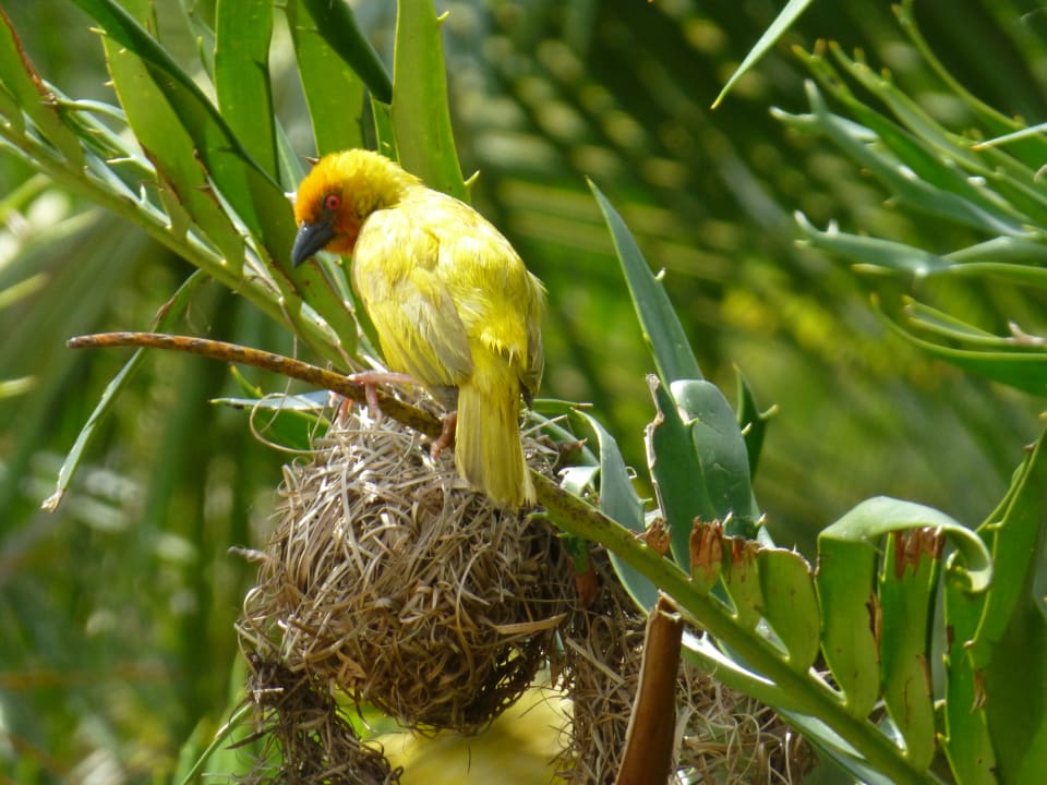 Sonstiges Fruit & Spice Wellness Resort