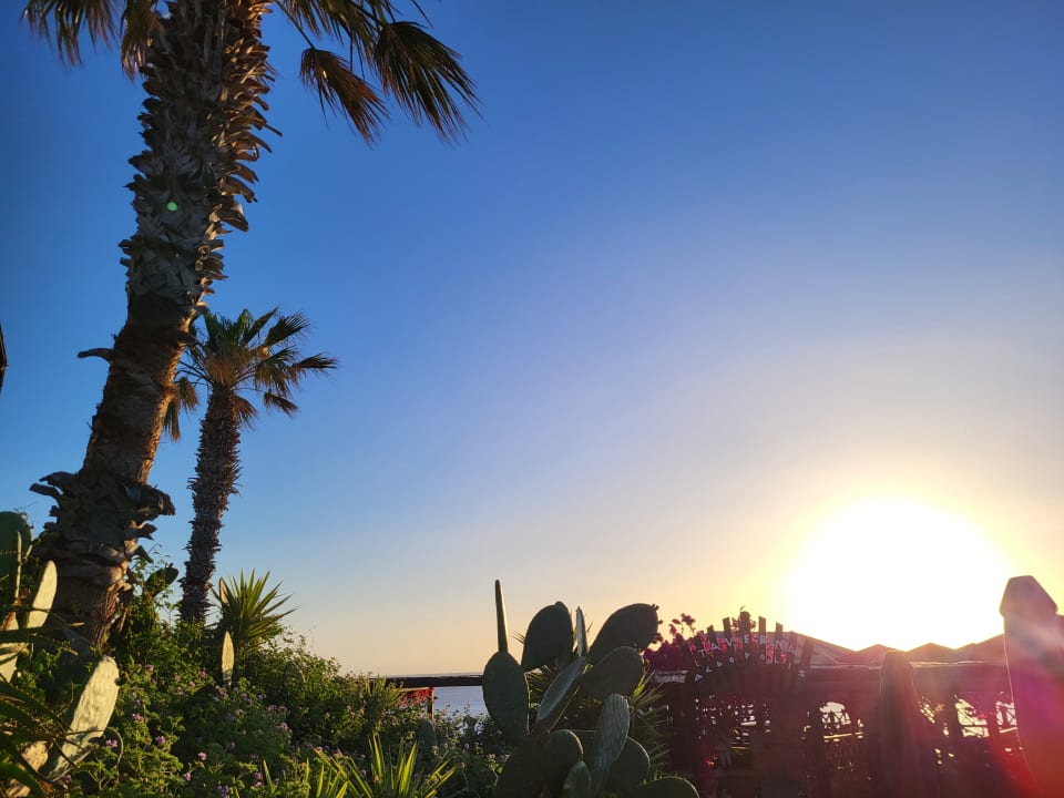 Gartenanlage Hotel Kalithea Horizon Royal