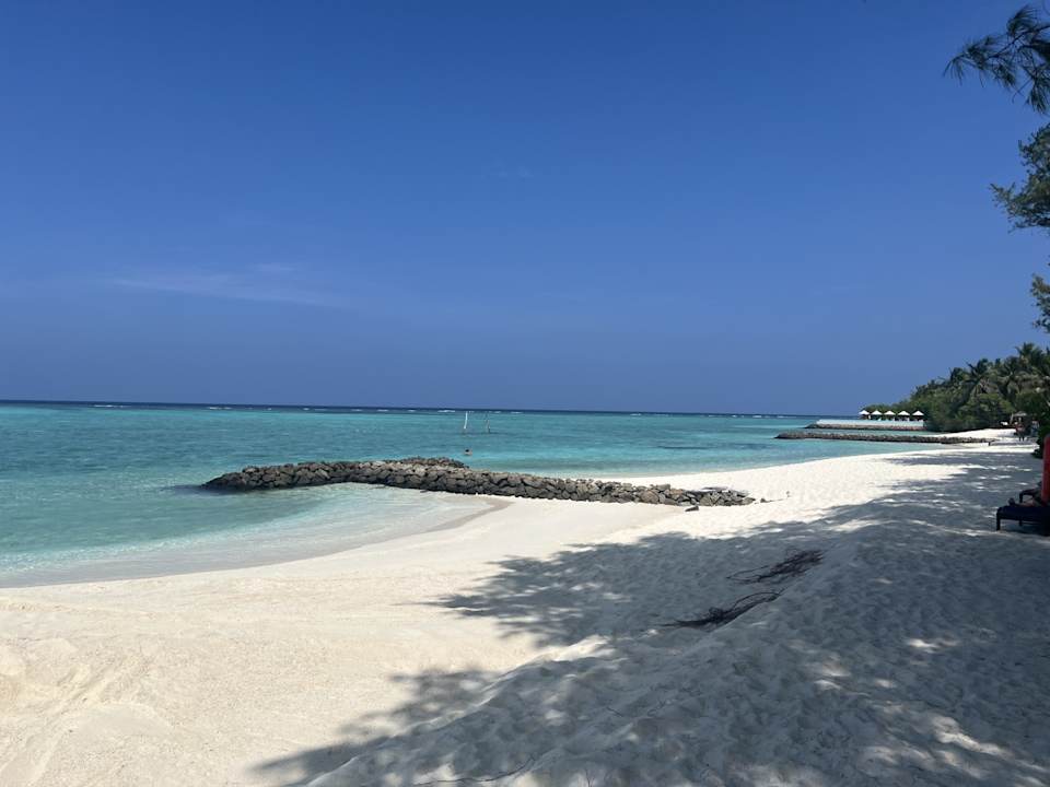 Strand Summer Island Maldives
