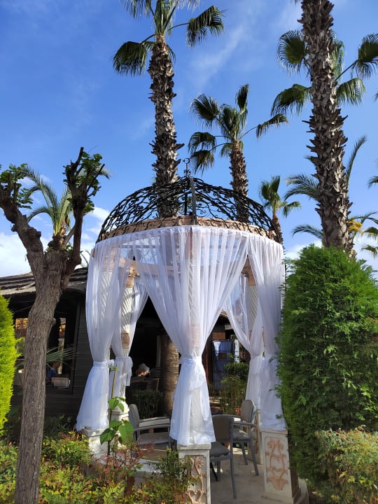 Gartenanlage Hotel Delphin Palace