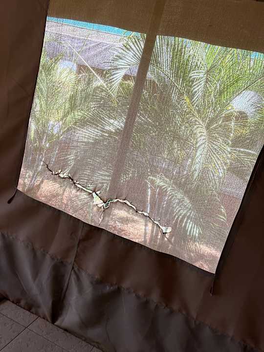 Zimmer BoraBora Wildlife park and Luxury Tented Safari Camp Diani