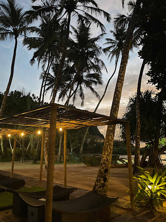 Gartenanlage Cocobay Unawatuna