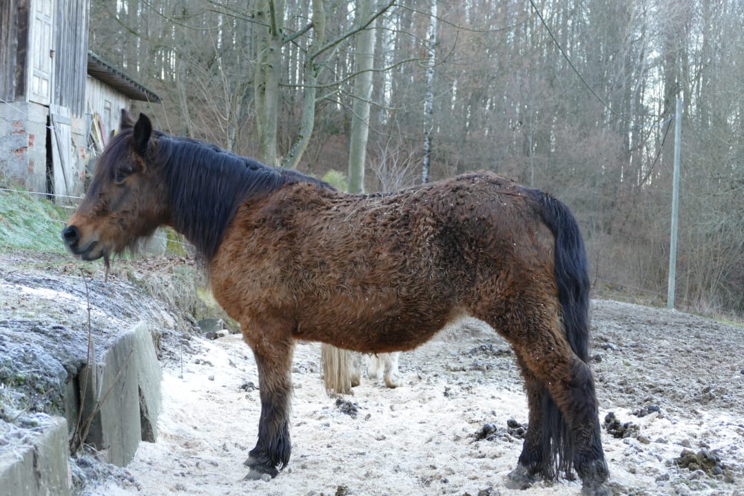 Sonstiges Ferienparadies am Rennweg
