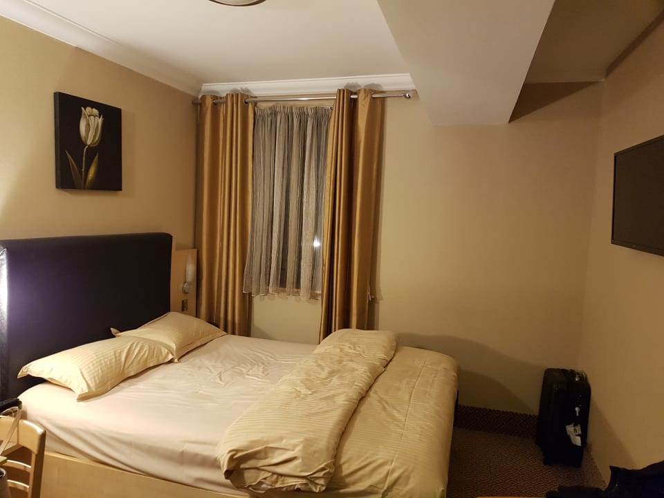 Zimmer Academy Plaza Hotel