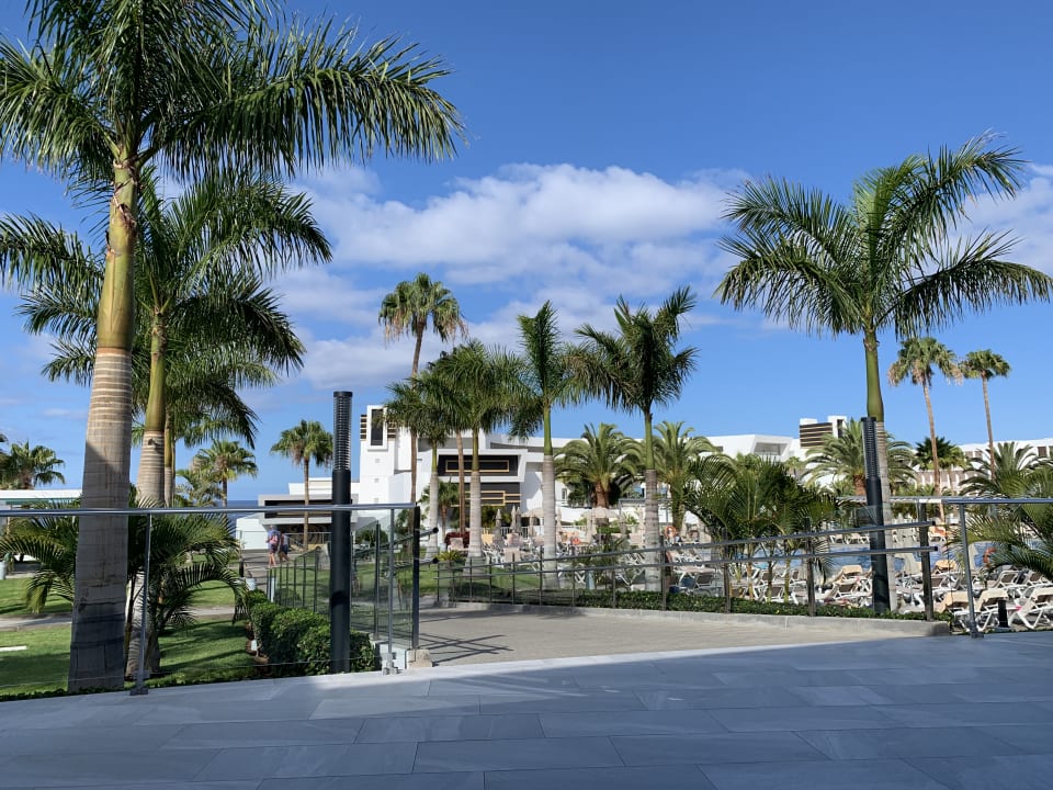 Gartenanlage Hotel Riu Arecas - Adults only