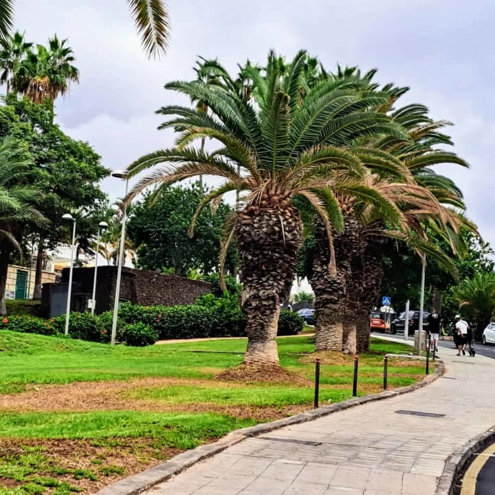 Gartenanlage HOVIMA Panorama