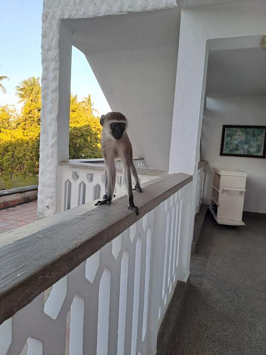 Ausblick Hotel Mombasa Beach