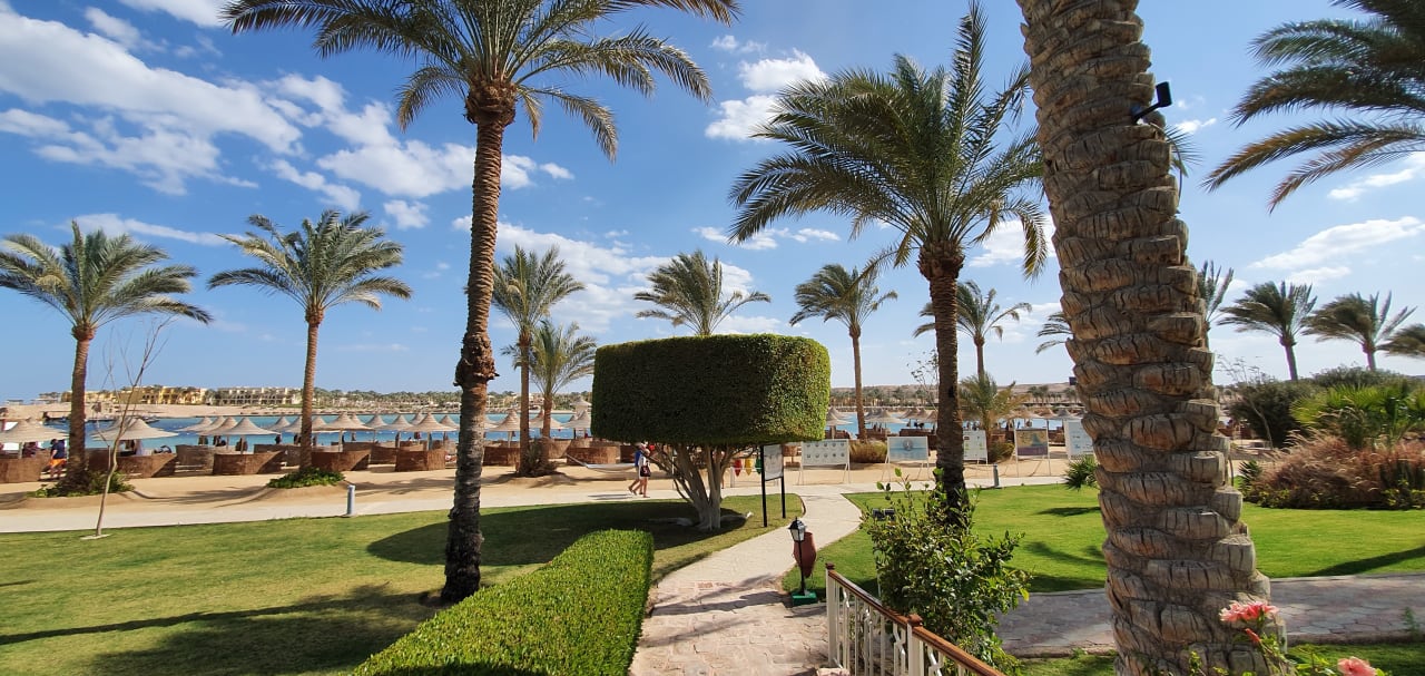 Ausblick Steigenberger Coraya Beach - Adults only